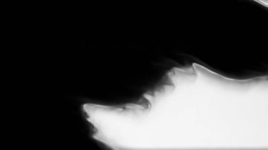 Boya kanaması geçiş empresi. En iyi kalite mürekkep lekesi animasyon filmi. Video dönüşümleri. Düzenleme ya da VFx için de kullanılabilir.