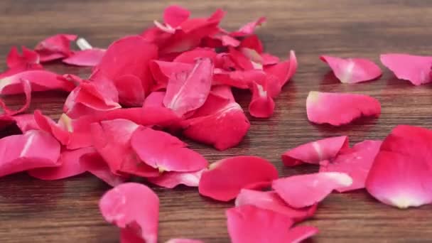 Ρομαντικό Πέταγμα Φως Κόκκινο Τριαντάφυλλο Πέταλα Λουλούδι Φόντο — Αρχείο Βίντεο