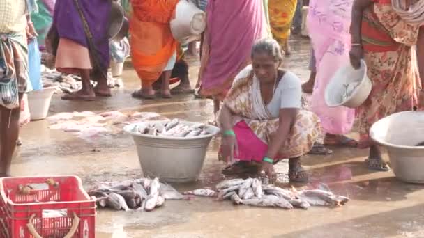 床から魚を詰め込む女性が大きなパンを売り 背景にいる人々 チララ魚市場 インド 2022年12月 — ストック動画