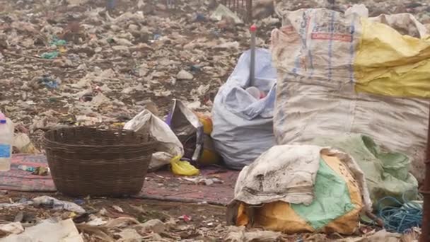 Çöp Öğütme Bölgesindeki Poşetlere Doldurulmuş Plastik Şişeler — Stok video