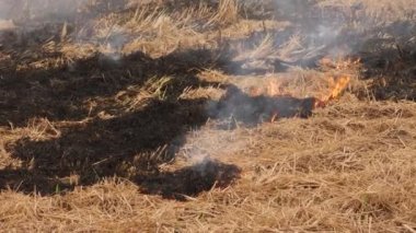 Ateş geniş bir kuru çalı tarlasında yayılıyor, duman çıkıyor.