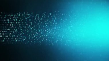 Dijital ikili veri, yayın kodu arkaplanı