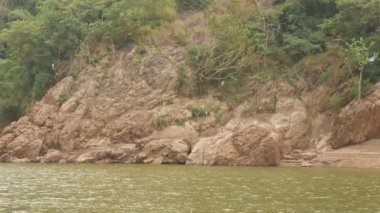 Çalı tepe ve yeşil deniz