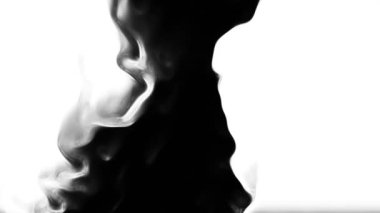 Suda mürekkep, beyaz arka planda siyah suluboya mürekkep yavaş çekimde geçiş. Şeffaf geçiş etkisi, izole edilmiş, organik akış.