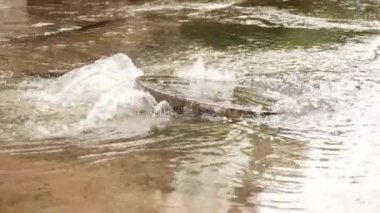 Kanalizasyon sızıntısı ve sel basmış şehir - hyderabad