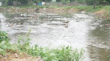 Su kirliliği - suyla dolu çöp