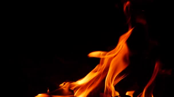 Случайный Оранжевый Эффект Пламени Пылающего Огня Темноте — стоковое видео