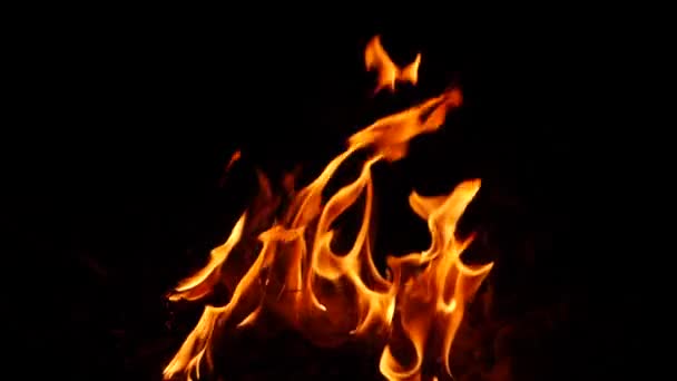 Oheň Hoří Žluté Oranžové Plameny Efekt Tmě — Stock video
