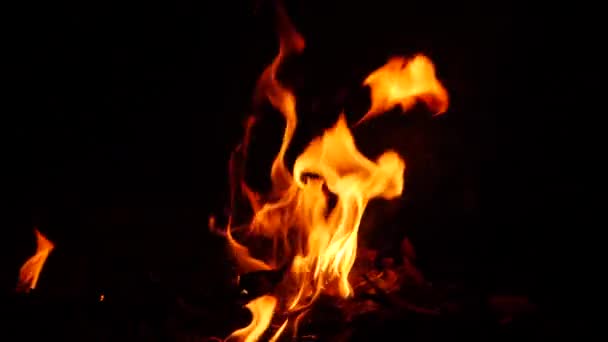 Oheň Hoří Plamen Působí Tmavé Pozadí Látky — Stock video