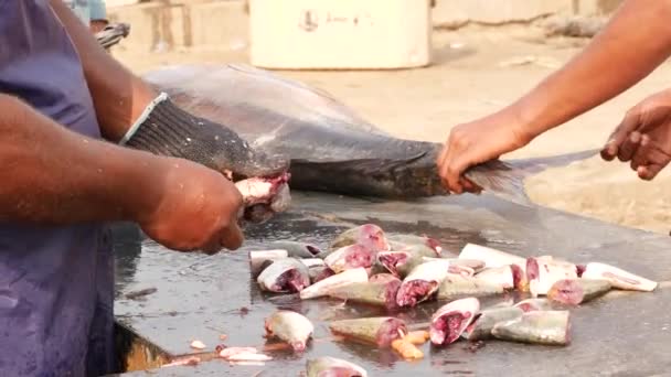 Человек Удаляющий Внутренности Готовых Вырезанных Рыб — стоковое видео