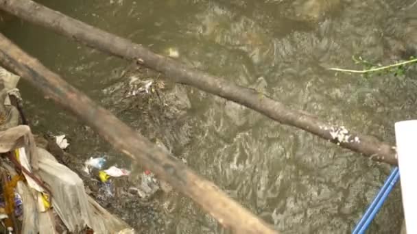 Ρύπανση Των Υδάτων Σκουπίδια Νερό — Αρχείο Βίντεο