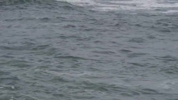 Hareket Eden Deniz Suyu Deniz Suyu Mikro Klipsi Görüntüsü — Stok video