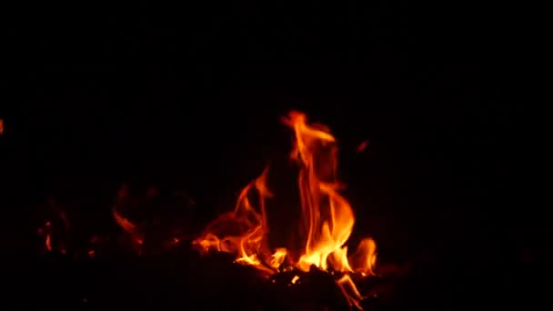 Oheň Hoří Nesmírně Pomalým Pohybem — Stock video