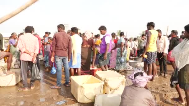 Gente Mercado Pescado Conversando Comprando Vendiendo Mercado Pescado Chirala India — Vídeo de stock