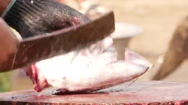新鮮な魚の頭を削除するには カットクラスを使用して男 それは最初に口の中を切断 — ストック動画