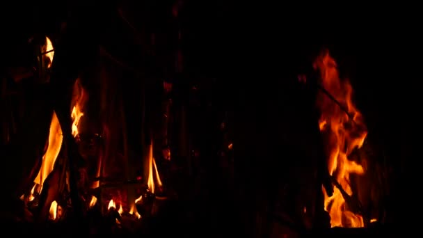 Огонь Ярко Пылает Темноте Веществом Почти Покрывающим Пламя — стоковое видео