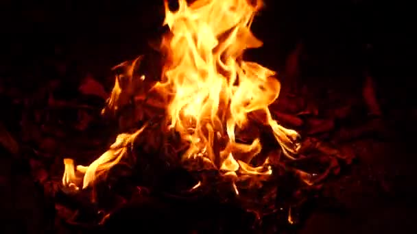 Fuego Ardiendo Vigirosamente Una Sustancia Lugar — Vídeos de Stock