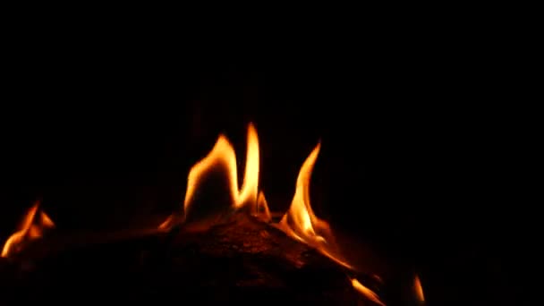 Tűz Kerek Formában Sötét Háttér Sárga Lángok — Stock videók