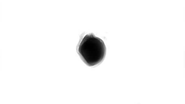 Ink Water Black Watercolor Ink Slow Motion Transition Drop White — Stock Video