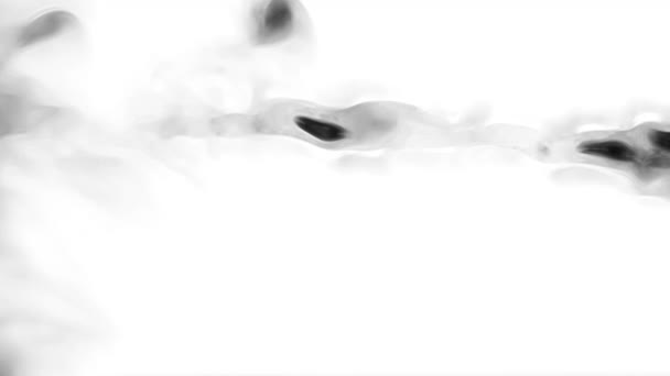 水にインク 黒水彩インクの遅い動きの遷移は白の背景にドロップします 透過的な遷移効果 孤立した有機的な流れ — ストック動画