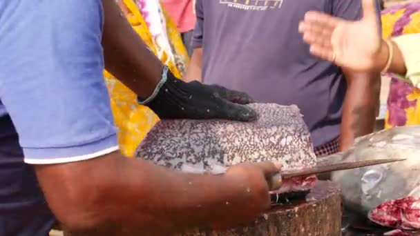 Продавец Рыбы Прорезает Большое Тело Рыбы Делится Две Части — стоковое видео