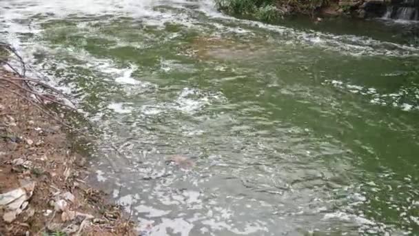 Stor Mängd Skräp Förorenar Våra Vatten — Stockvideo