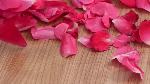 Лепестки Красной Розы Летят Изолированно Фоне Дерева — стоковое видео