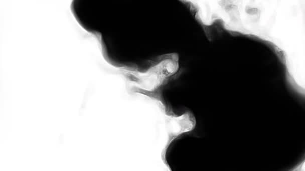 水にインク 黒水彩インクの遅い動きの遷移は白の背景にドロップします 透過的な遷移効果 孤立した有機的な流れ — ストック動画