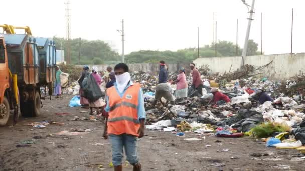 City Dump Vyrovnávání Odpadků Odpad Potravin — Stock video