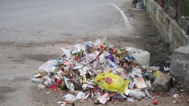 Zanieczyszczone Różnymi Śmieciami Śmieciami — Wideo stockowe
