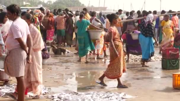 Duża Liczba Martwych Ryb Rynku Targowanie Się Chirala Fish Market — Wideo stockowe