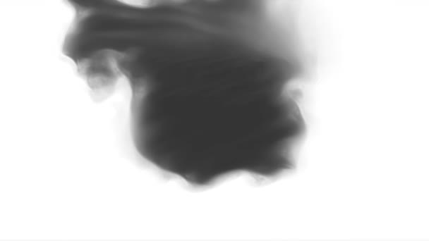 Чорнило Воді Чорне Акварельне Чорнило Уповільнює Перехідний Рух Білому Тлі — стокове відео