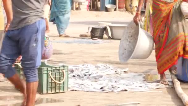 平底锅 板条箱和人行走的现场直播视频 印度美联社Chirala鱼市场 2022年12月 — 图库视频影像