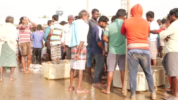 Homens Negociando Peixe Mercado Peixe Chirala Fish Market Índia Dez — Vídeo de Stock