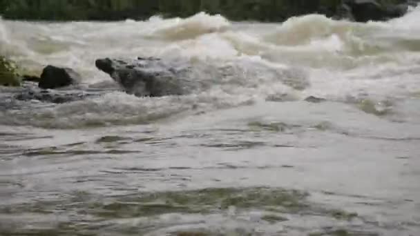 Протікаюча Річка Скелями Посеред Річки — стокове відео