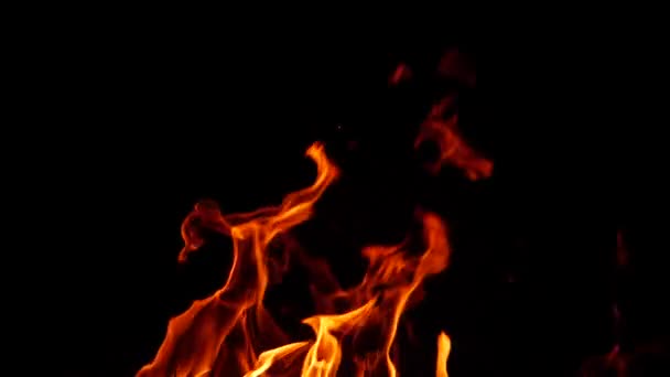 Feuer Brennt Kräftig Dunkelheit Rote Flamme Wirkung — Stockvideo