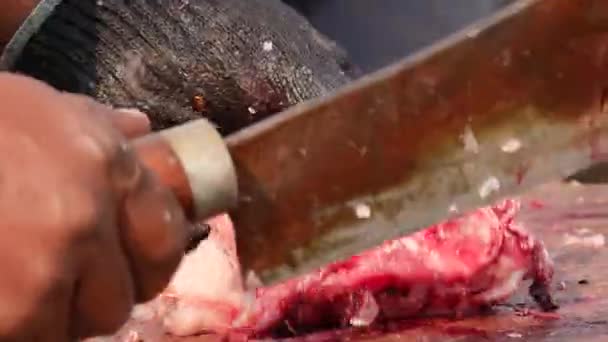 新鮮な死んだ魚を小さなサイズに切って板から詰める男 — ストック動画