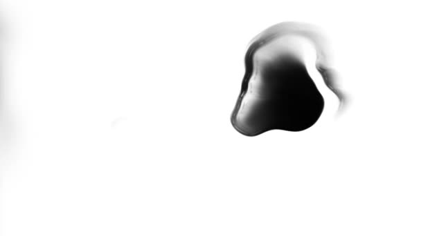 Muste Vedessä Musta Akvarelli Muste Hidasta Siirtymistä Pudota Valkoisella Pohjalla — kuvapankkivideo