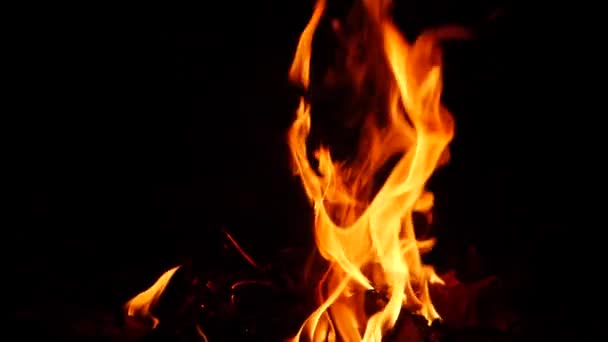 Ingezoomd Video Van Vuur Branden Krachtig Het Donker — Stockvideo