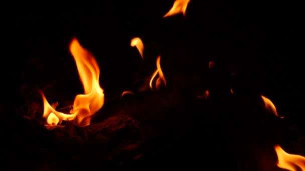 Flammendes Feuer Gelbe Flamme Die Der Dunkelheit Weht — Stockvideo