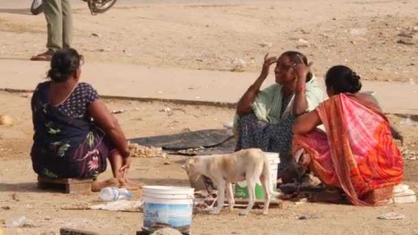 Три Женщины Сидят Разговаривают Собака Ест Третьем Фронте Chirala Fish — стоковое видео