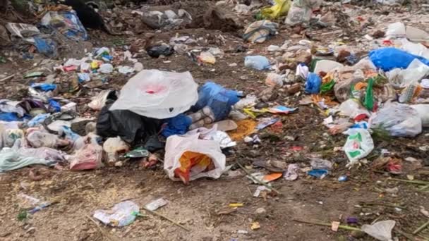 Vegetabiliskt Avfall Och Plastavfall Vid Dumpning — Stockvideo