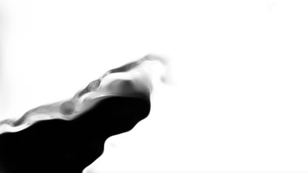 Inkoust Vodě Černá Akvarel Inkoust Zpomalení Přechodu Kapka Bílém Pozadí — Stock video