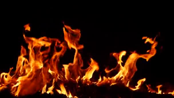 Brand Brinnande Pinne Marken Oerhört Cirklar — Stockvideo