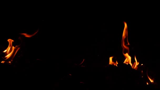 Yanan Ateş Koyu Arkaplandan Aşağı Gidiyor — Stok video