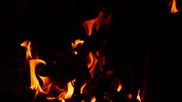 Oheň Hořící Látkou Temnotě — Stock video