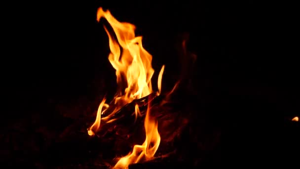 Lángok Néhány Tárgy Égési — Stock videók