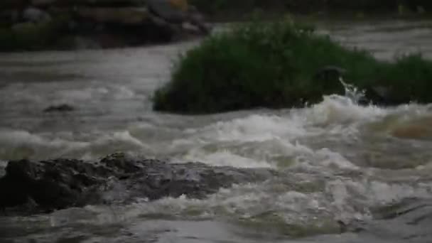 Uma Água Jorrando Rio Flutuando Sobre Uma Rocha Grande Rocha — Vídeo de Stock