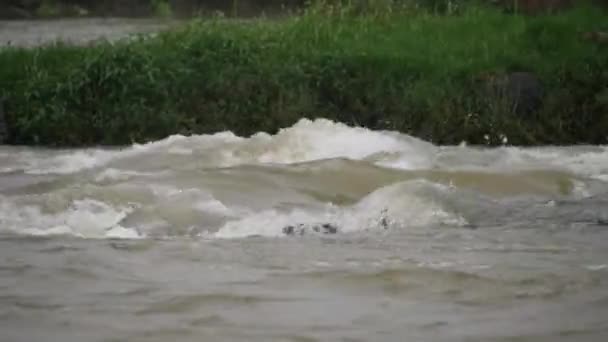 Pędząca Woda Rzeczna Woda Unosząca Się Wokół Skał Trawiasta Skała — Wideo stockowe