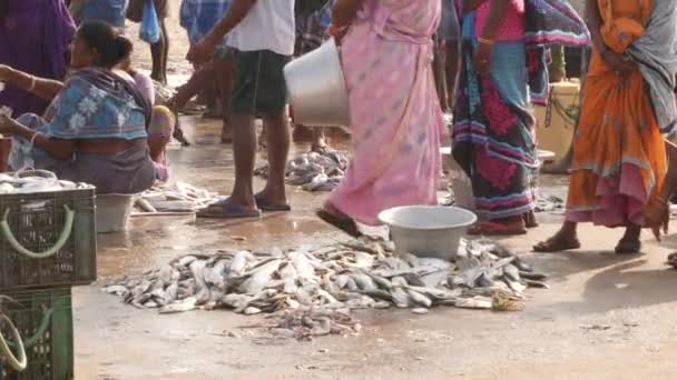 Menschen Verhandeln Über Kauf Und Verkauf Von Fischspezialitäten Großhandel Chirala — Stockvideo